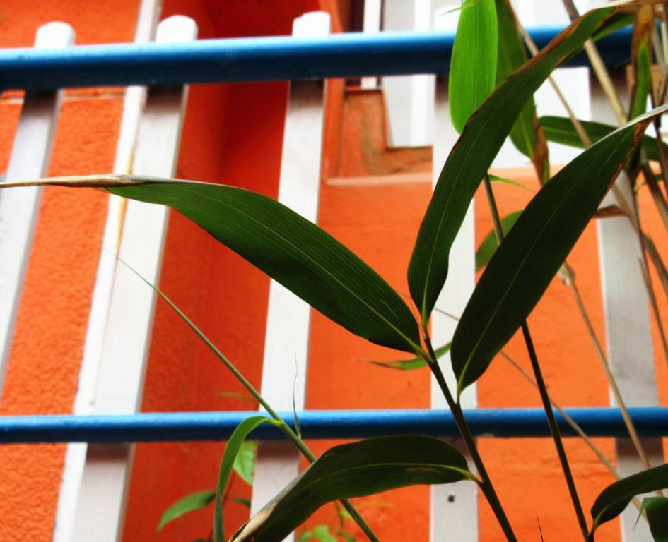 25°C Four Season Youth Hostel Qingdao Zewnętrze zdjęcie